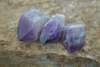 Natural Single Amethyst Crystals  x 35 From Zambia - Toprock Gemstones and Minerals 