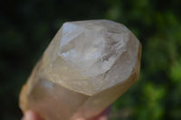 Natural Large Quartz Crystals With Polished Terminations  x 3 From Madagascar - Toprock Gemstones and Minerals 