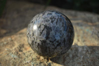 Polished Merlinite Gabbro Spheres  x 4 From Madagascar - Toprock Gemstones and Minerals 