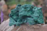 Natural Chatoyant Silky Malachite Specimens  x 2 From Kasompe, Congo