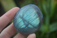 Polished Mixed Labradorite Items  x 14 From Madagascar - Toprock Gemstones and Minerals 