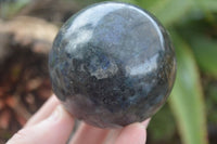 Polished Rare Iolite / Water Sapphire Spheres  x 2 From Madagascar - Toprock Gemstones and Minerals 