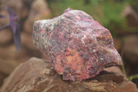 Natural Rough Pink Rhodonite Specimens  x 5 From Zimbabwe