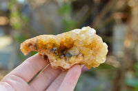 Natural Golden Limonite / Lemonite Quartz Clusters  x 6 From Mwinilunga, Zambia - TopRock