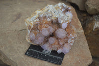 Natural Stunning Spirit Ametrine Quartz Cluster  x 1 From Boekenhouthoek, South Africa - Toprock Gemstones and Minerals 