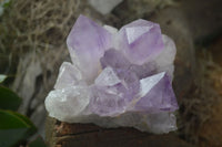 Natural Jacaranda Amethyst Clusters  x 3 From Mumbwa, Zambia - Toprock Gemstones and Minerals 