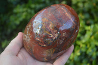 Polished Red Jasper Standing Free Forms  x 3 From Madagascar - Toprock Gemstones and Minerals 