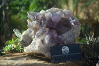 Natural Jacaranda Amethyst Cluster x 1 From Mumbwa, Zambia - TopRock