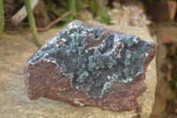 Natural Drusy Coated Ball Malachite On Dolomite Specimen  x 1 From Likasi, Congo