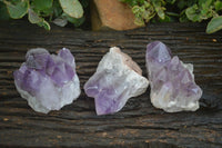 Natural Jacaranda Amethyst Clusters  x 3 From Zambia - Toprock Gemstones and Minerals 