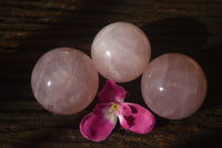 Polished  Star Rose Quartz Spheres x 3 From Ambatondrazaka, Madagascar - TopRock