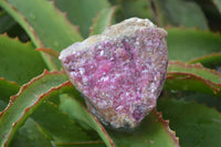 Natural Pink Salrose Cobaltion Dolomite Specimens  x 6 From Kakanda, Congo