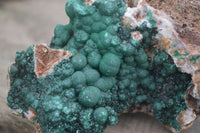 Natural Rare Ball Malachite On Drusy Quartz & Dolomite Matrix  x 1 From Kambove, Congo - Toprock Gemstones and Minerals 