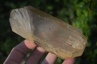 Natural Large Quartz Crystals With Polished Terminations  x 3 From Madagascar - Toprock Gemstones and Minerals 