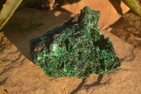 Natural Chatoyant Silky Malachite Specimen  x 1 From Congo