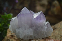 Natural Jacaranda Amethyst Clusters  x 3 From Mumbwa, Zambia - Toprock Gemstones and Minerals 