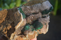 Natural Rare Ball Malachite On Drusy Quartz & Dolomite Matrix  x 2 From Kambove, Congo - Toprock Gemstones and Minerals 