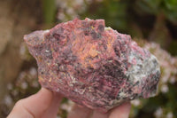 Natural Rough Pink Rhodonite Specimens  x 5 From Zimbabwe