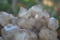 Natural Cascading White Phantom Smokey Quartz Clusters  x 2 From Luena, Congo - Toprock Gemstones and Minerals 