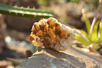 Natural Golden Limonite / Lemonite Quartz Clusters  x 6 From Mwinilunga, Zambia - TopRock