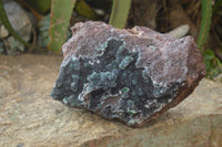 Natural Drusy Coated Ball Malachite On Dolomite Specimen  x 1 From Likasi, Congo