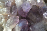 Natural Jacaranda Amethyst Cluster x 1 From Mumbwa, Zambia - TopRock