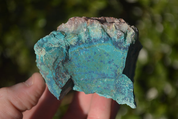 Natural Rough Shattuckite Cobbed Specimens x 12 From Kaokoveld, Namibia