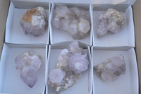 Natural Cactus Flower Amethyst Clusters  x 6 From Boekenhouthoek, South Africa - Toprock Gemstones and Minerals 