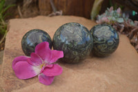 Polished Stromatolite / Kambamba Jasper Spheres  x 3 From Madagascar - TopRock