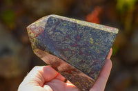 Polished Dragon Bloodstone Bastite Points  x 2 From Tshipies, South Africa - TopRock