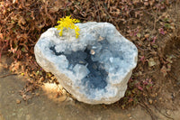 Natural Blue Celestite Geode Specimen With Gemmy Cubic Crystals  x 1 From Sakoany, Madagascar - TopRock