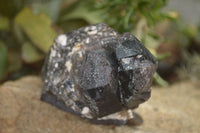 Natural Large Single Morion Smokey Quartz Crystals  x 2 From Melanje, Malawi - TopRock