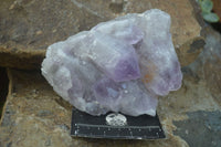 Natural Jacaranda Amethyst Clusters  x 3 From Mumbwa, Zambia - Toprock Gemstones and Minerals 