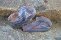 Polished River Agate Nodules  x 6 From Zimbabwe