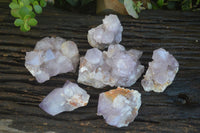 Natural Cactus Flower Amethyst Clusters  x 6 From Boekenhouthoek, South Africa - Toprock Gemstones and Minerals 