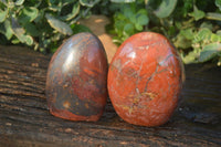 Polished Red Jasper Standing Free Forms  x 3 From Madagascar - Toprock Gemstones and Minerals 