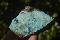 Natural Rough Shattuckite Cobbed Specimens x 12 From Kaokoveld, Namibia