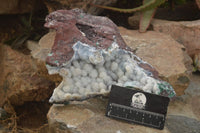 Natural Pure White Drusy Coated Balls With Malachite On Red Copper Dolomite  x 1 From Likasi, Congo