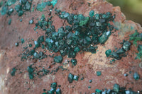 Natural Emerald Dioptase On Red Dolomite Matrix Specimen  x 1 From Likasi, Congo