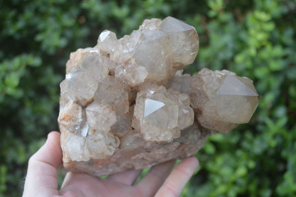 Natural Cascading White Phantom Smokey Quartz Cluster x 1 From Luena, Congo