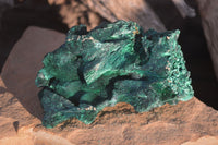 Natural Chatoyant Silky Malachite Specimens  x 2 From Kasompe, Congo