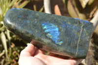 Polished Labradorite Standing Free Form With Deep Blue Flash x 1 From Sakoany, Madagascar - TopRock