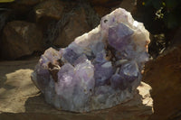 Natural Jacaranda Amethyst Cluster x 1 From Mumbwa, Zambia - TopRock