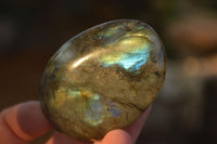 Polished  Flashy Labradorite Palm Stones  x 20 From Tulear, Madagascar