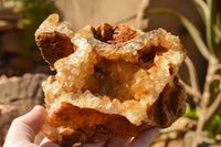 Natural Golden Limonite / Lemonite Quartz Clusters  x 6 From Mwinilunga, Zambia - TopRock