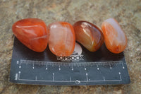 Polished  Carnelian Agate Tumble Stones  x 1 Kg Lot From Madagascar