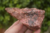 Natural Rough Pink Rhodonite Specimens  x 5 From Zimbabwe