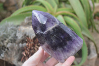 Polished Dream Amethyst Point x 1 From Madagascar