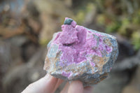 Natural Pink Salrose Cobaltion Dolomite Specimens  x 6 From Kakanda, Congo