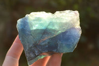 Natural Cobbed & Stone Sealed Watermelon Fluorite Pieces x 12 From Uis, Namibia - TopRock